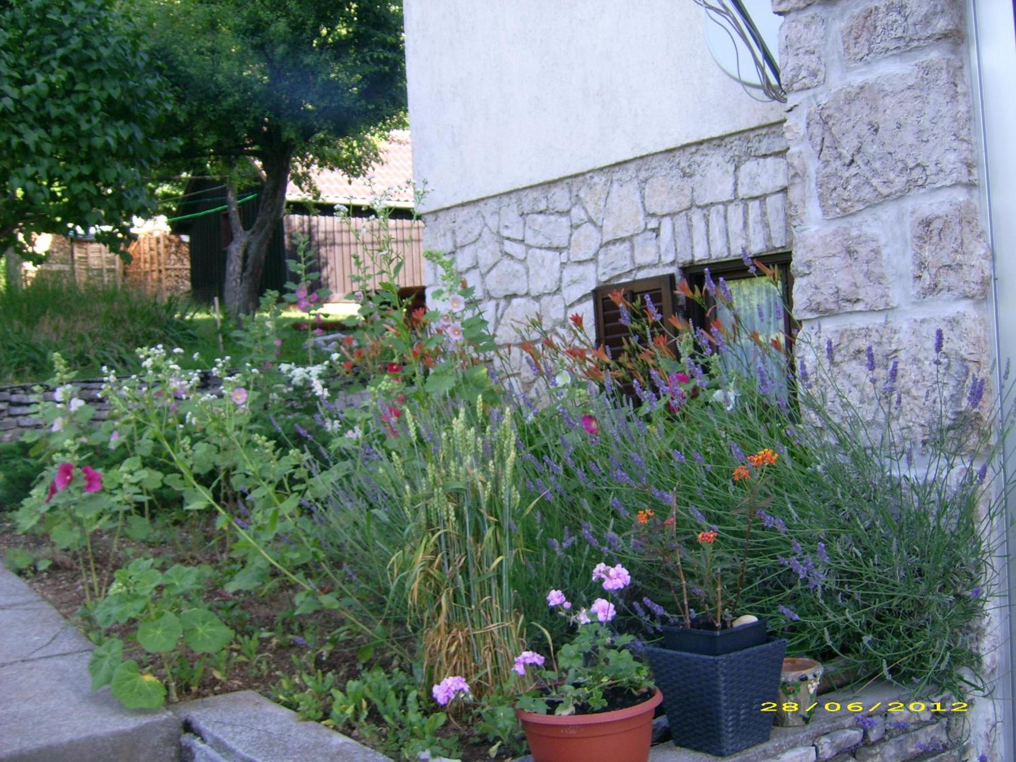 Vila Vuk Plitvička Jezera Exterior foto